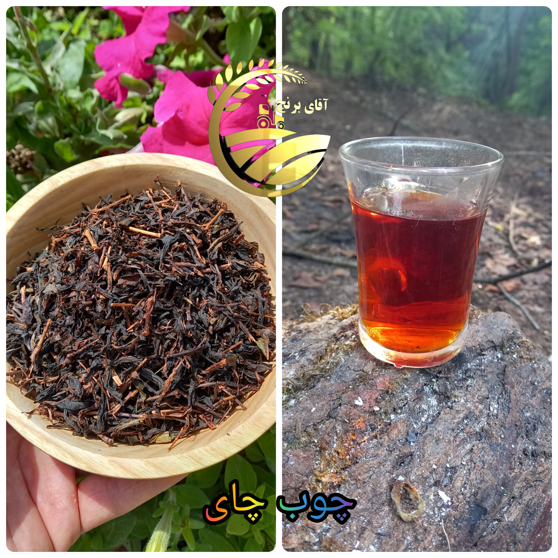 چوب چای